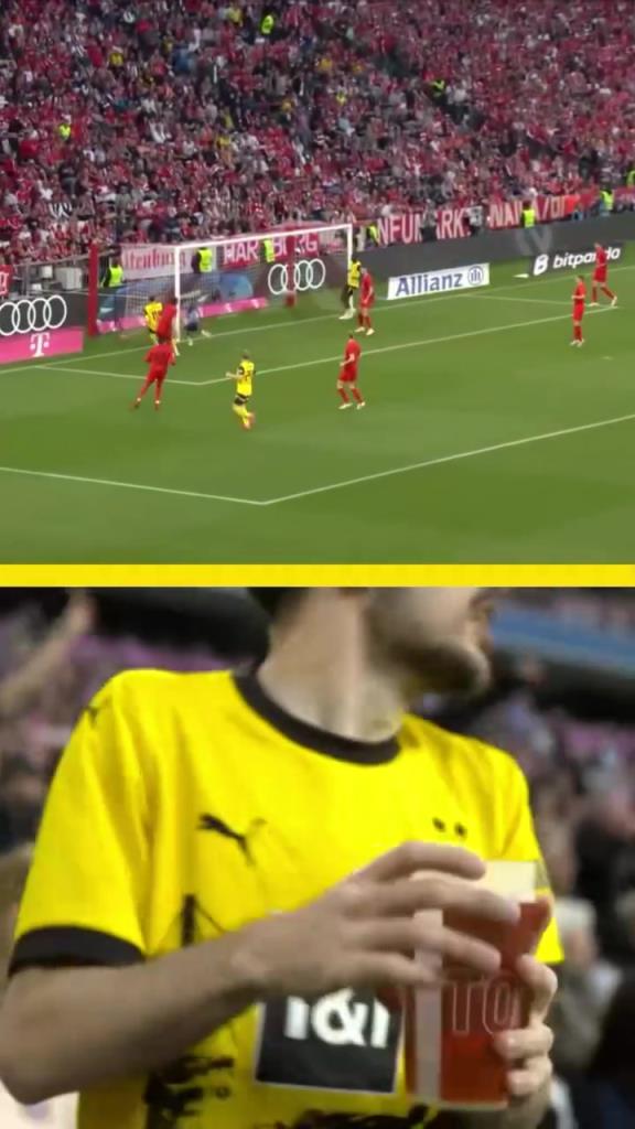 勇者無(wú)懼！這是真多特球迷！在拜仁球迷區(qū)一個(gè)人肆意慶祝！